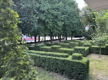 Територія, що оживає: як студенти творять зелений простір університету