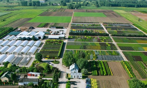 Програма наукового семінару «Підбір декоративних рослин для створення садово-паркових об’єктів»