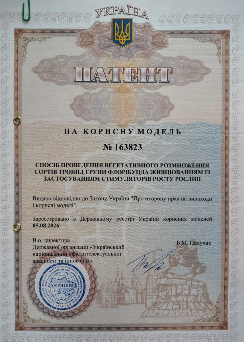 Реєстрація патенту на корисну модель: «Спосіб проведення вегетативного розмноження сортів троянд групи флорібунда живцюванням із застосуванням стимуляторів росту рослин»